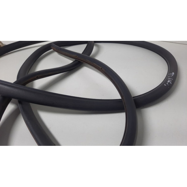 Borracha Guarnição Porta Traseira Esquerda Focus 2009/2013