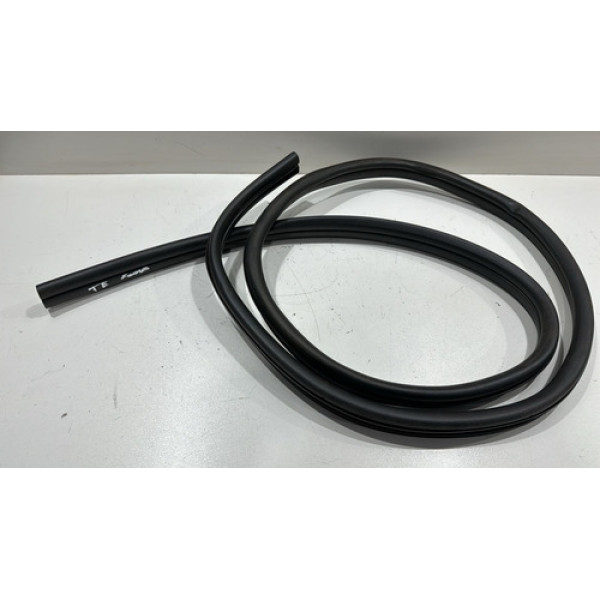 Borracha De Porta Traseiro Esquerda Focus 2009 2010 12 2013