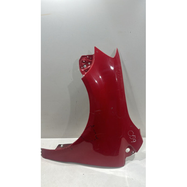 Paralama Esquerdo Volkswagen Fox 2010 (detalhes)