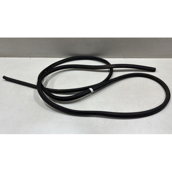 Borracha Porta Dianteira Direita Ford Focus 2009/2013 Origin