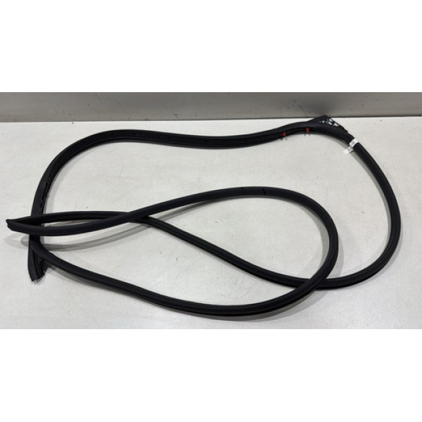 Borracha Quadro Porta Traseira Esquerda Fiat Pulse Guarnição