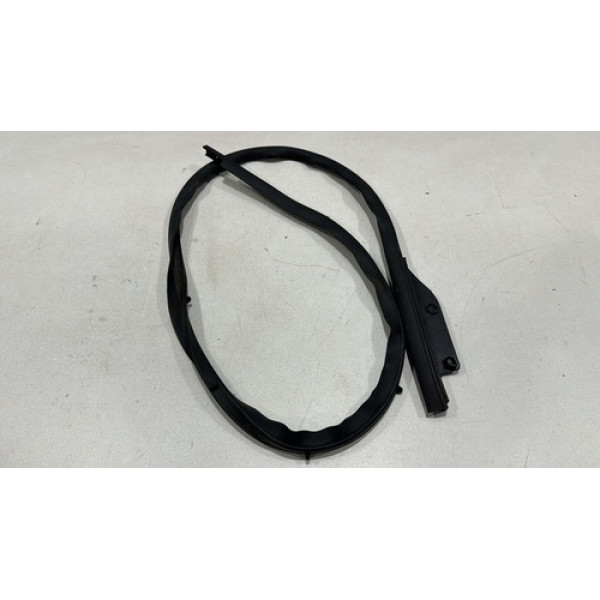 Borracha Porta Traseira Esquerda Renault Fluence 2015