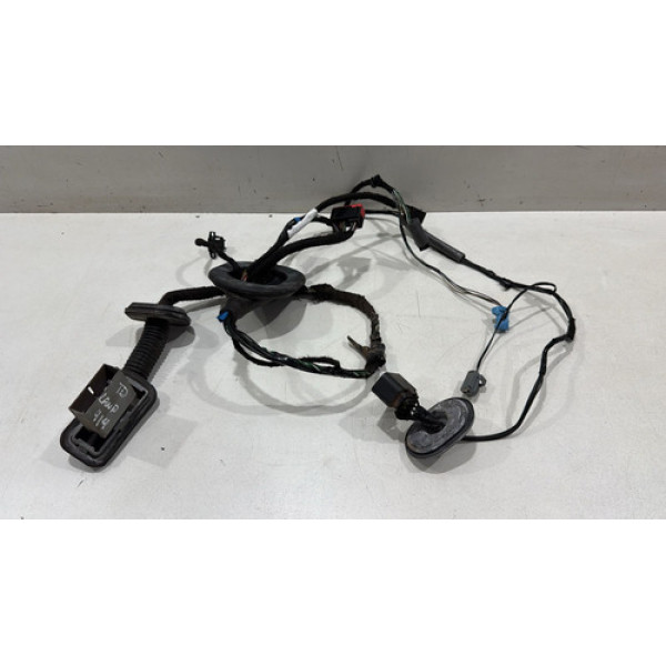 Chicote Porta Traseiro Direito Range Rover Sport 2010