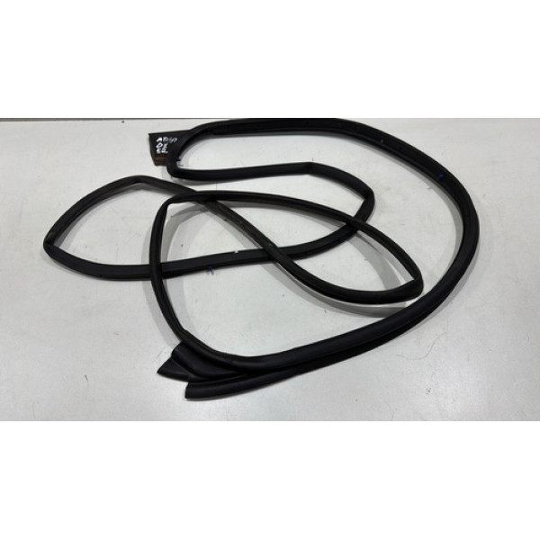 Borracha Porta Dianteira Esquerda Fiat Argo 2017/2020 Usado